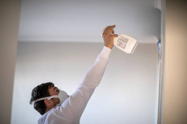 Attic Mold Removal in Blackwood, NJ