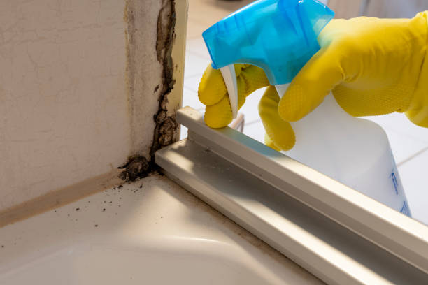 Crawl Space Mold Removal in Blackwood, NJ