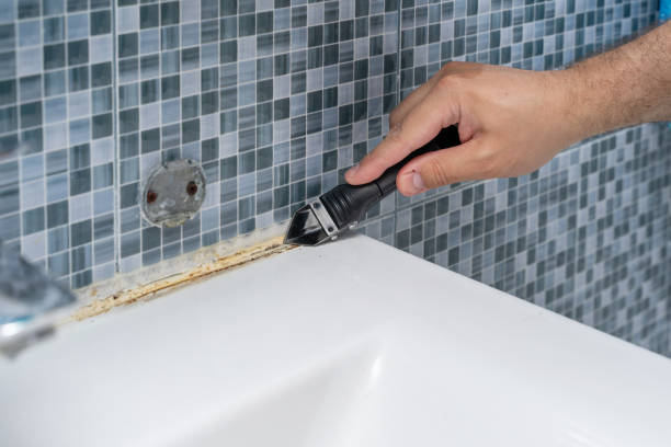 Reliable Blackwood, NJ Mold Removal Solutions